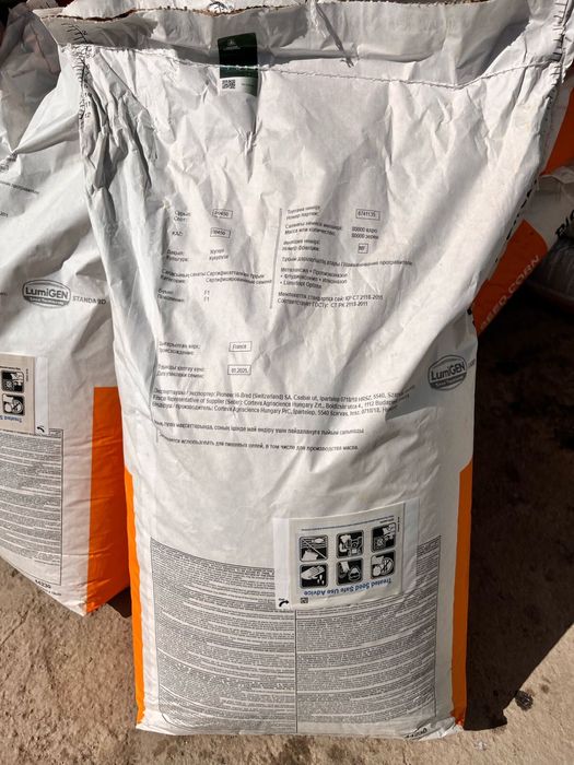 Кукуруза сорт Пионер