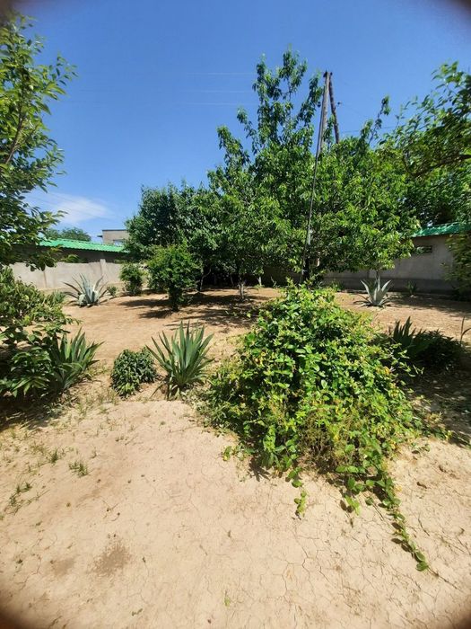 Земельный участок