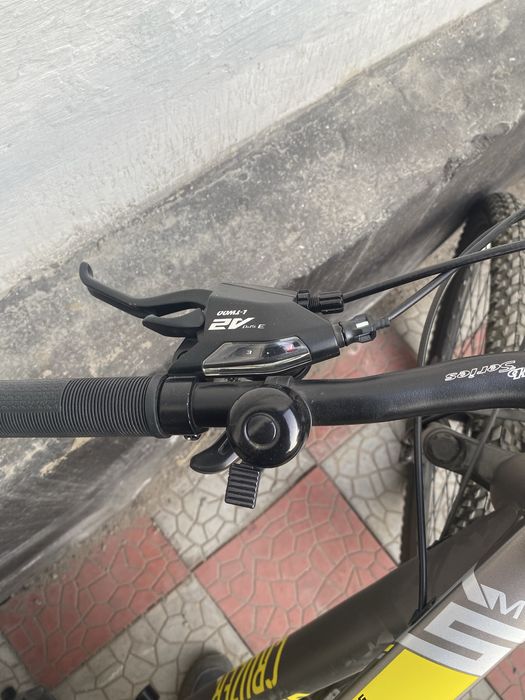Cruzer Wisent MTB