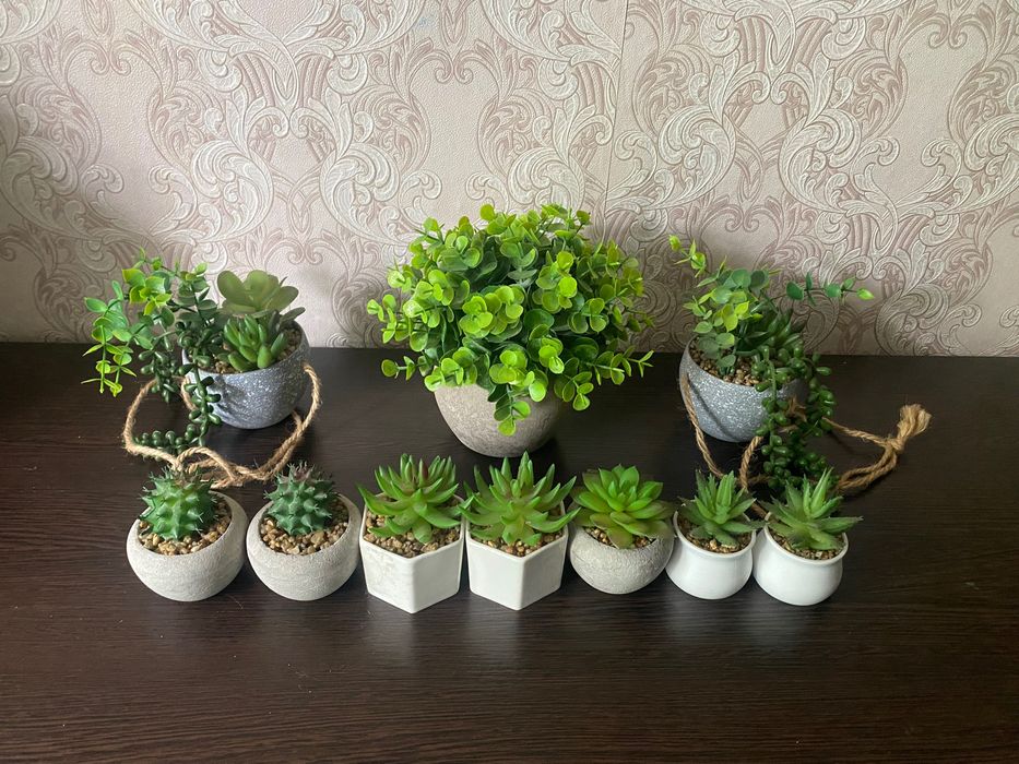 Растения для дома искусственные декоративные суккуленты  суккулент