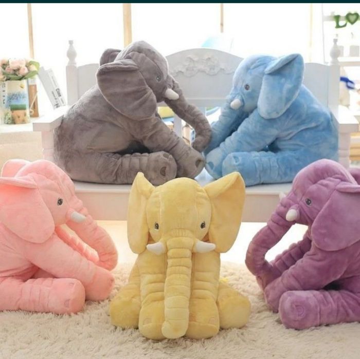 Fil + adyal arzon narxda