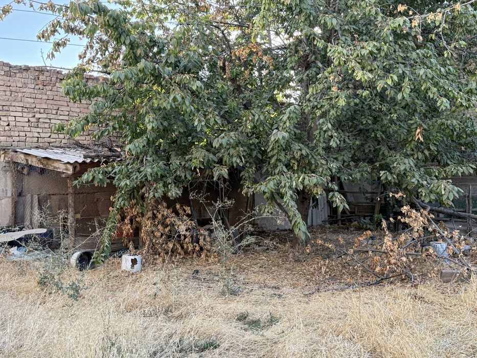 Участка сотилади 8 сотих Янгийул шахар Новда.