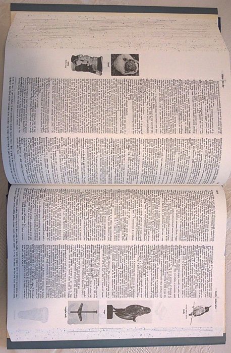 НОВ Речник английски тълковен 200хил.думи ВИСОКО КАЧЕСТВО на изданието