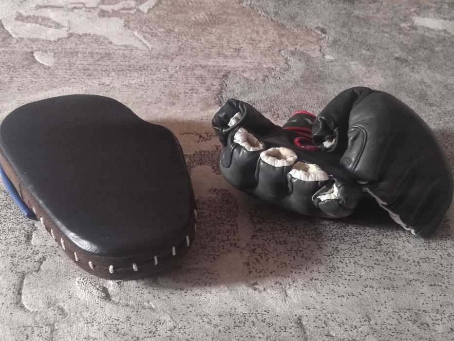 Перчатки и лапа для бокса