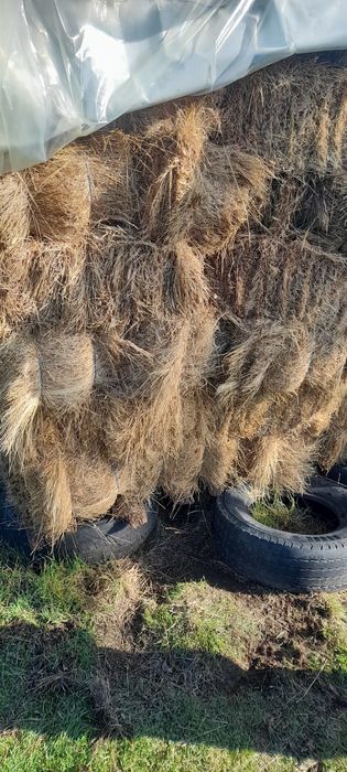 Vând baloți de fân