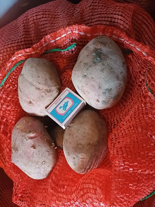 Продам картошку с доставкой. .