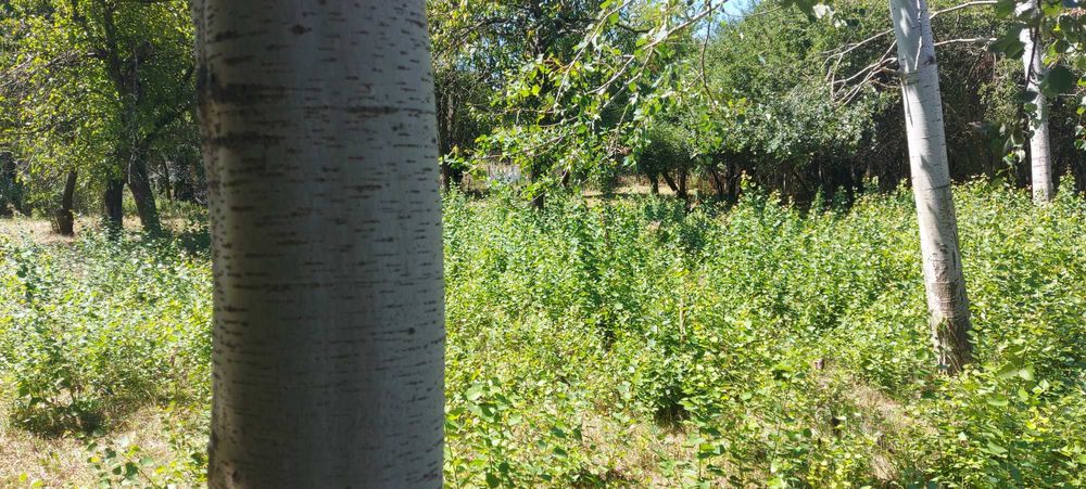 Продава се Парцел в Перник, Църква - 1440 кв.м за 46 €/кв.м - Снимка #11