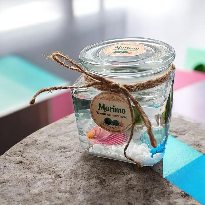 Marimo Топче на щастието