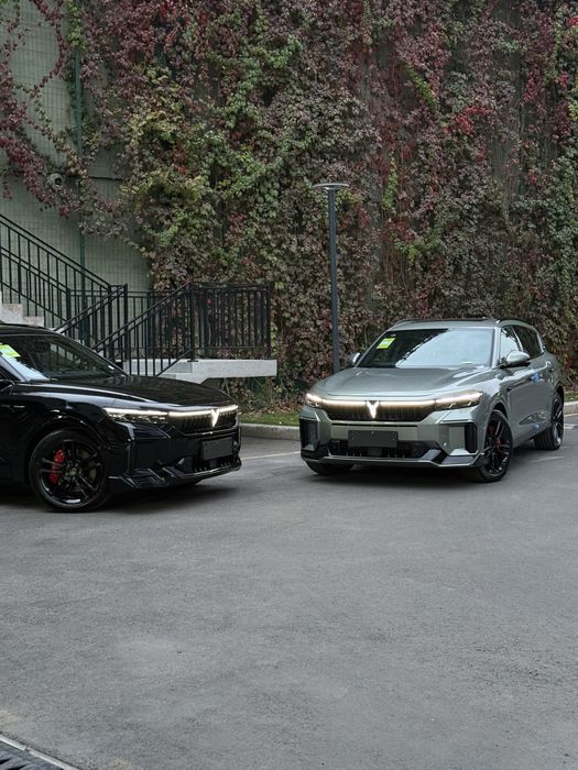 Voyah Free 318 apollo tech