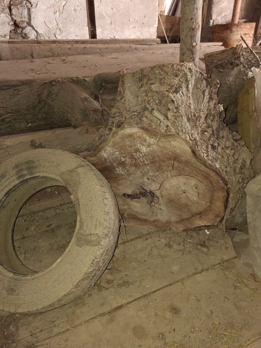 Lemn de nuc uscat rustic