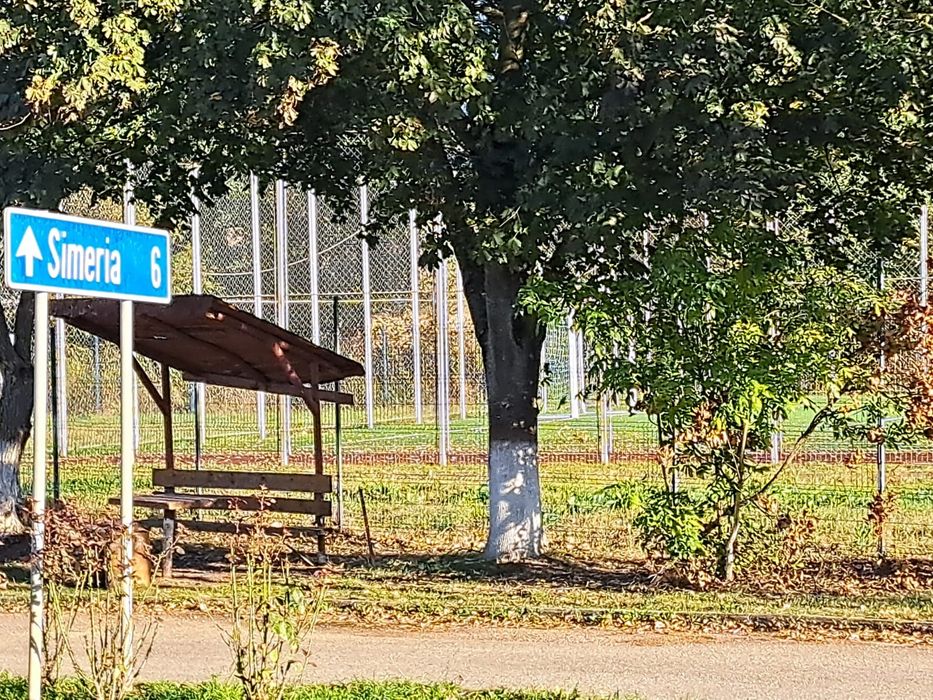 Vând teren Băcia pentru casă, sist. fotovoltaic, parcelare,pensiune,