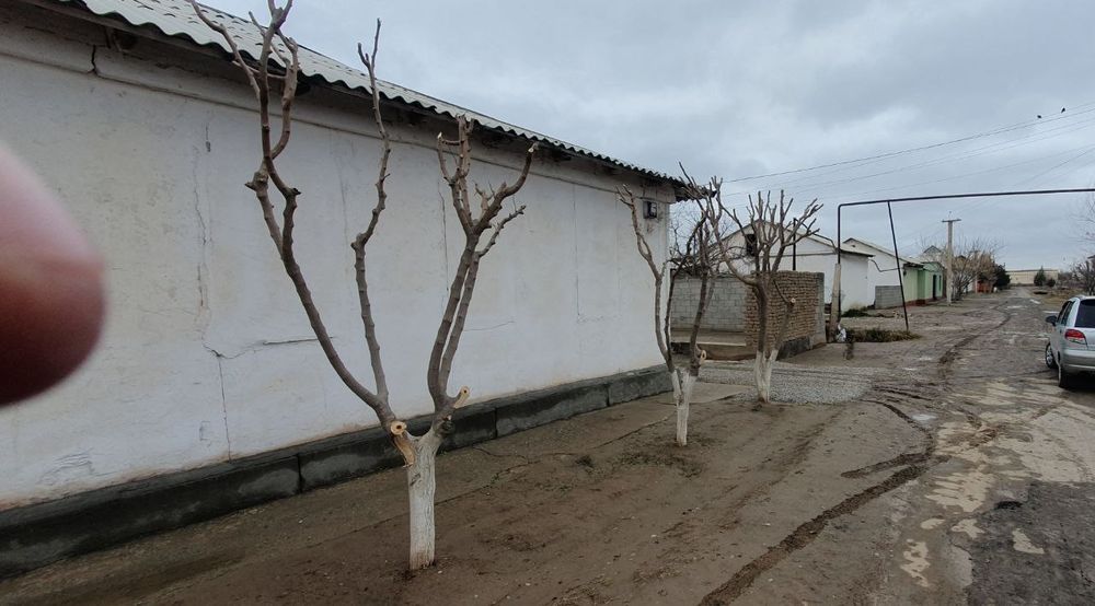 Uy sotiladi 8 so'tix