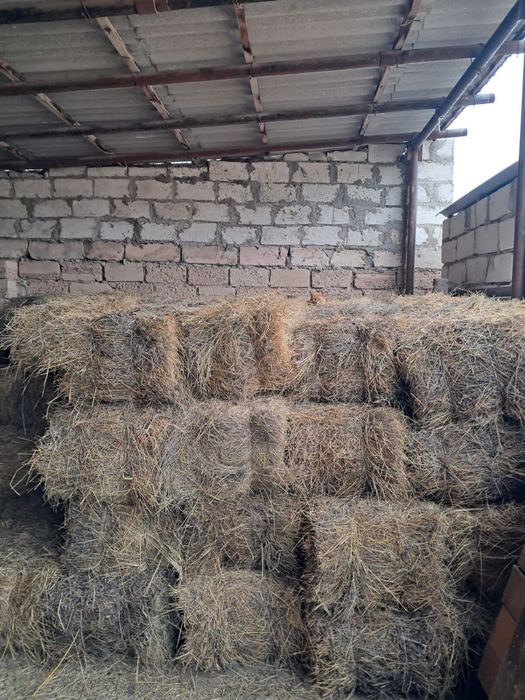 Сабан ,жусан шөп сатылады