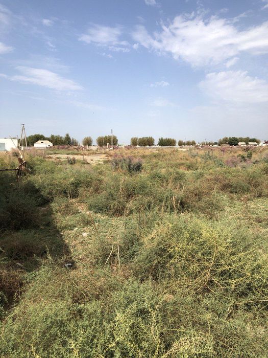 Oqoltinda yer uchastka sotiladi