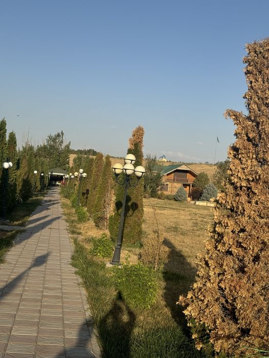 Продается фазенда