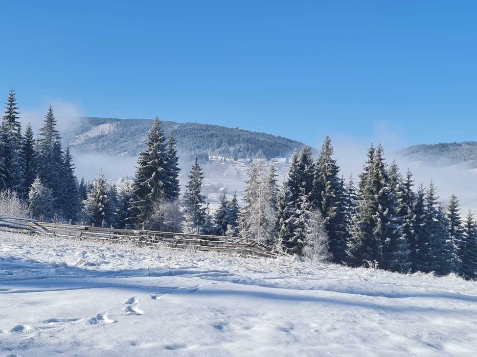 Cazare Cabana la umbra padurii langa Vatra Dornei la Saru Dornei