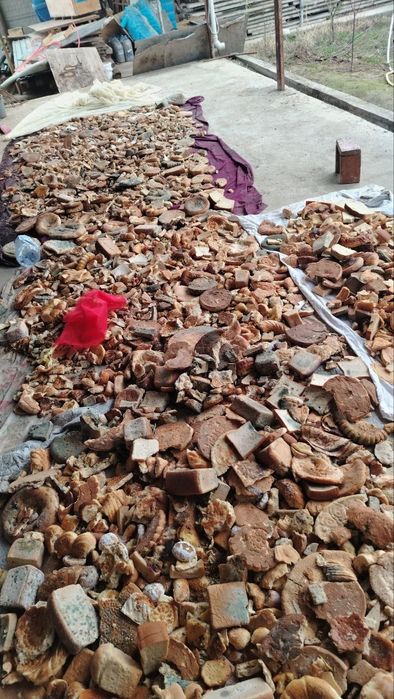 Mol va qoy uchun non