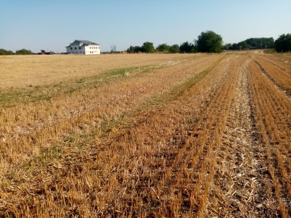 Vând Teren - Zona Giurgiu - Schitu