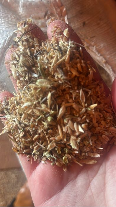 Зерноотход, пшеничная сечка