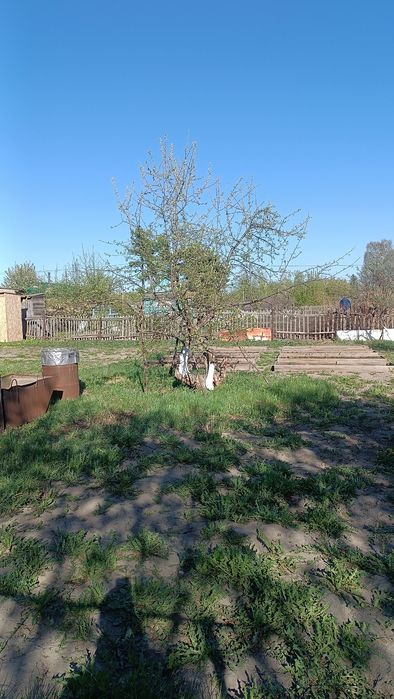 Продам дачу в Ромашке