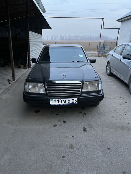 Обмен на коров крс