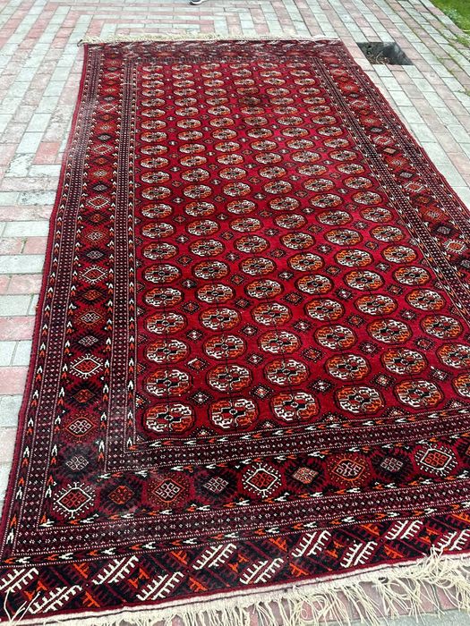 Gilam, Xiva juni, Хивинский шерсть