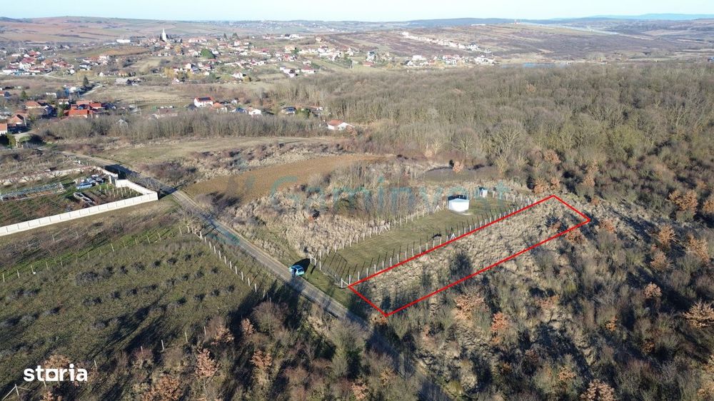 Teren intravilan in apropiere de padure, Paleu, Bihor Gaminvest V4509B