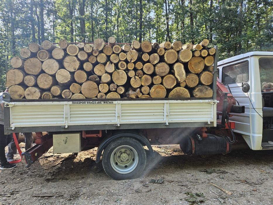 Transport basculabil cu macara