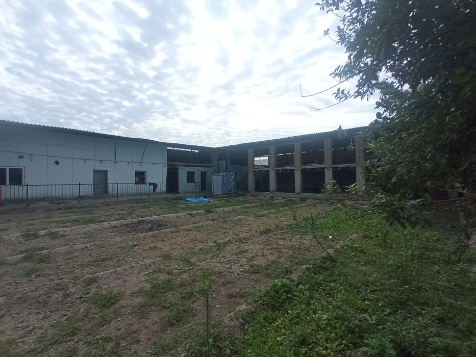 Yangi xayot gulzorda yer sotilad srochniyi 4 sotix 14 000$ mingdan 1 s