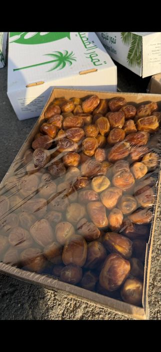 Финиковый сад, компания, финики, курма