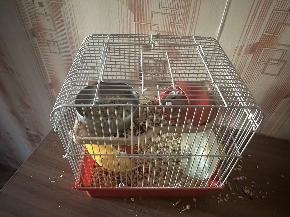 Хомяк вместе с клеткой
