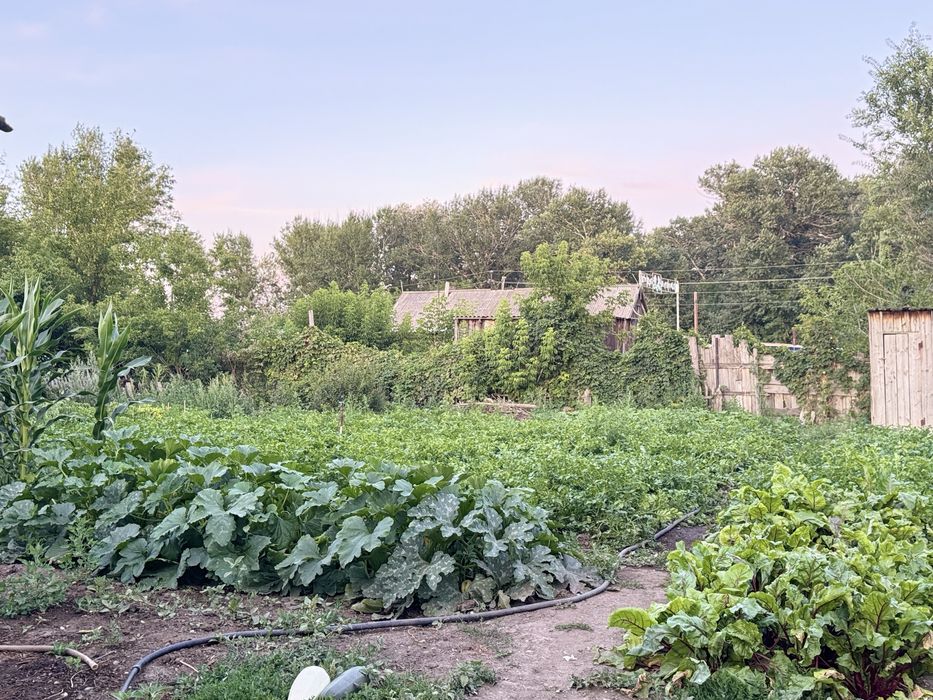 Тез арада үй сатылады.