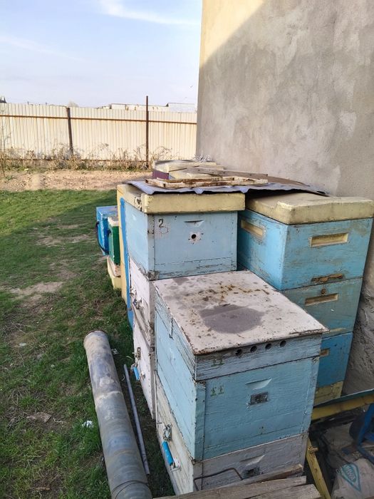 Продам улей для пчел