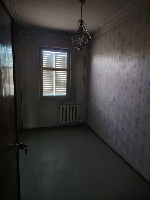 4 хонали фидокор