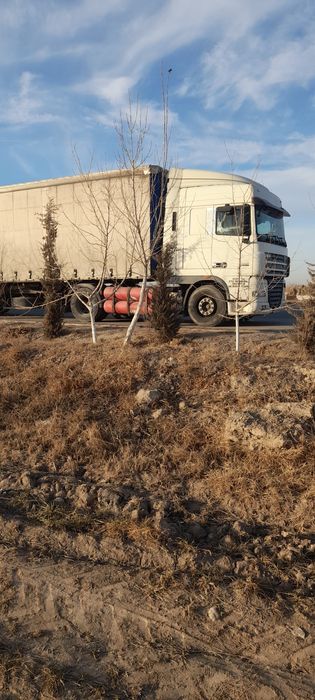 DAF sotiladi holati juda yaxshi