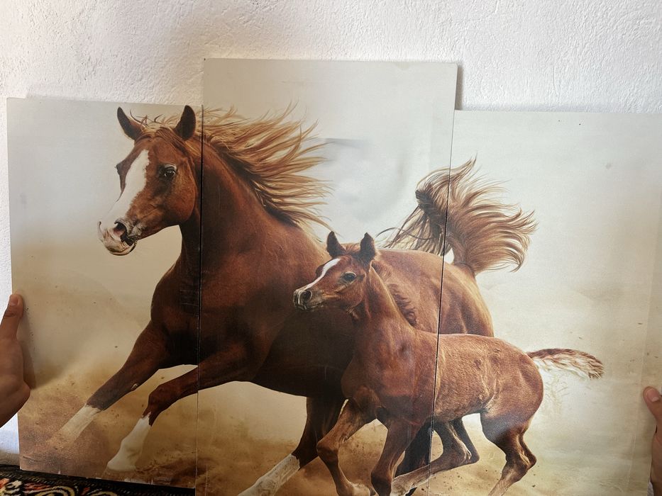 Портрет сатылады 3000 тг