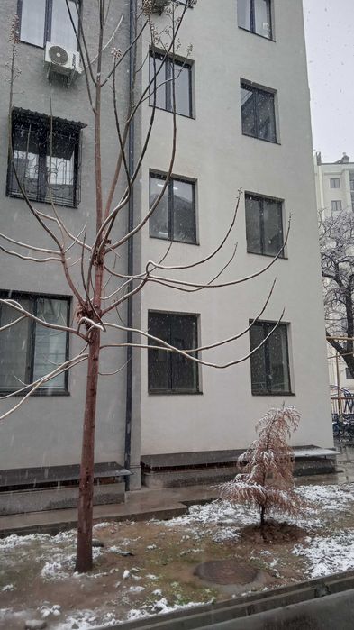 Продается квартира