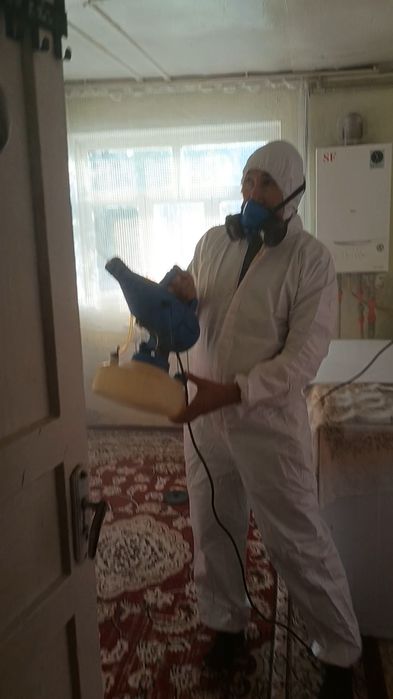 Дезинфекция уничтожение насекомых, клопов