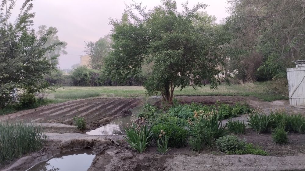 Срочно Продам дом с большим участком