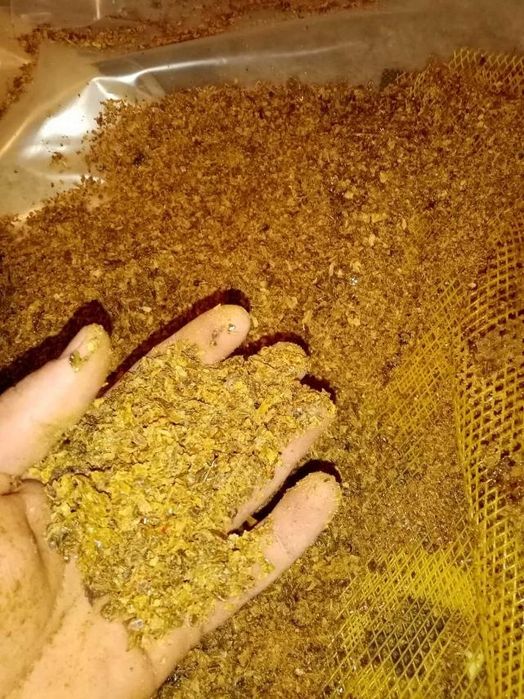 Пчелен прополис - екстра качество