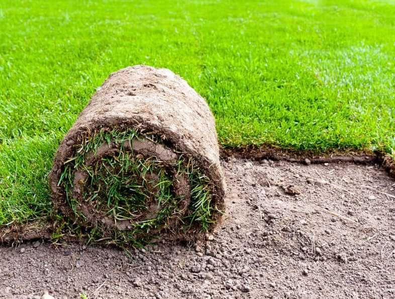 Gazon Rulou pentru Curte si Gradina - Montaj Complet