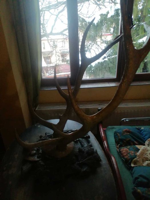 Coarne vechi cerb 1927