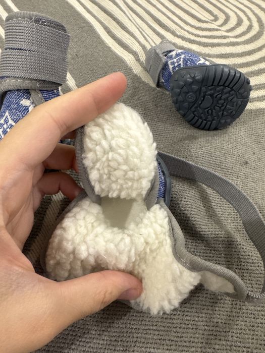 Обувь для собаки