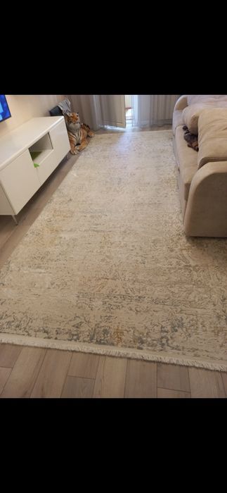 Продам ковёр 2×4 б/у. Требует химчистки.