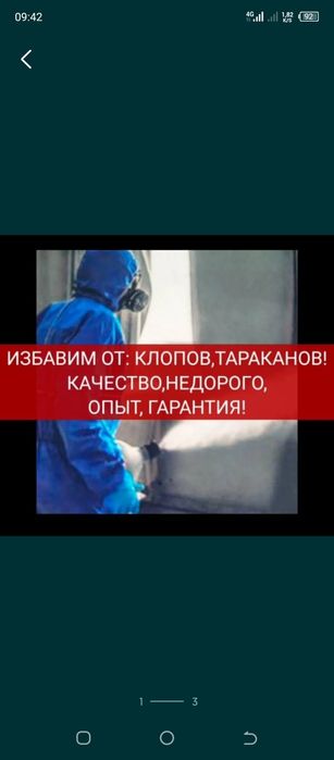 Дизинфекция Клопы,тараканы,грызуны !