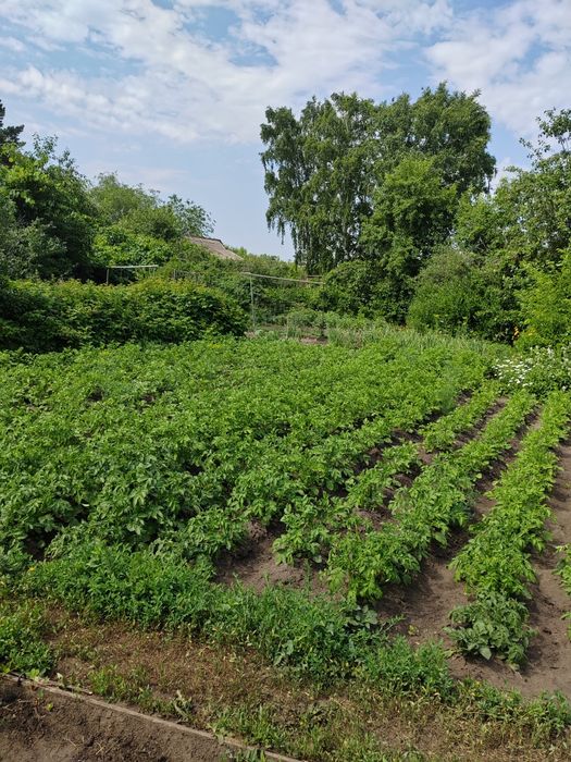 Продам дачу 17 маршрут 1 общество