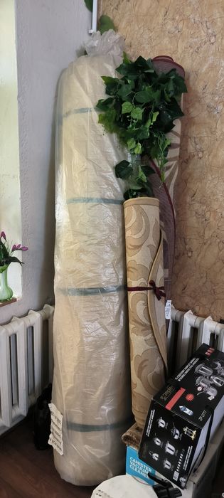 Солнце защитная сетка