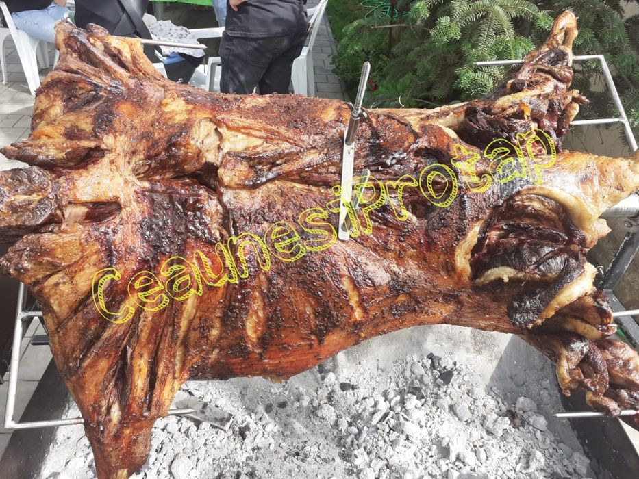 Berbecut la protap si catering