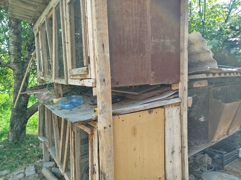 Клетка для кроликов