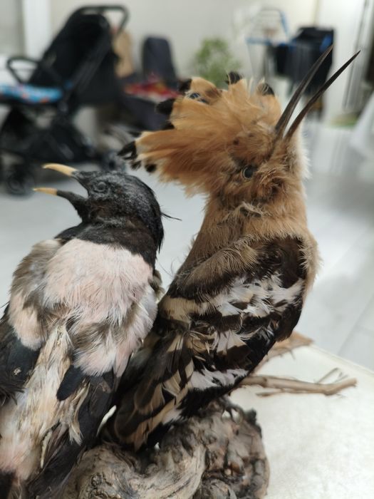 Продам Сувенир для дома, отличном состоянии